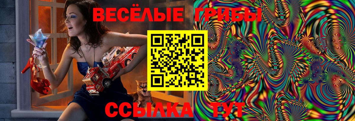 Псилоцибиновые грибы мухоморы Отрадное