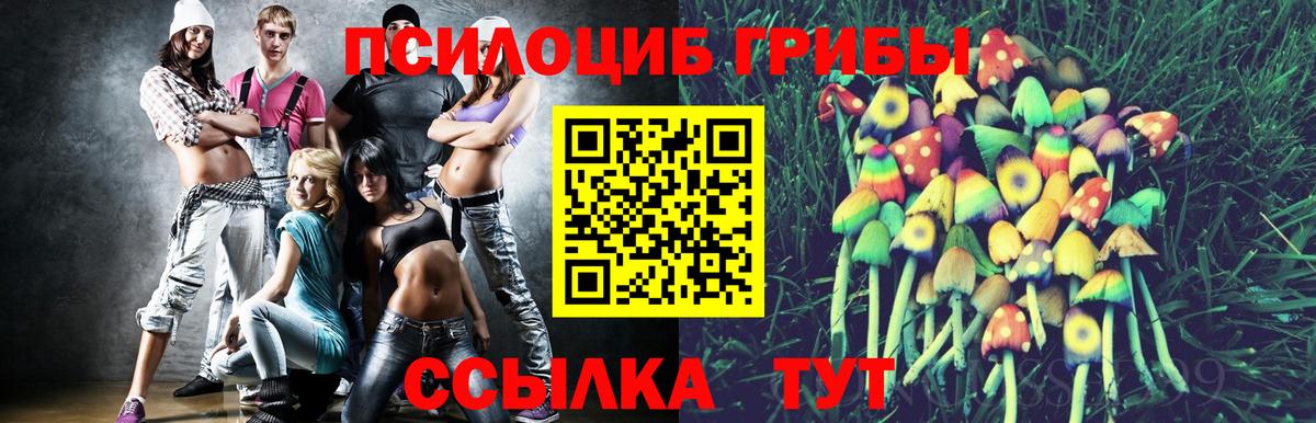 Отрадное  Галлюциногенные грибы MAGIC MUSHROOMS  Вход с VPN  Псилоцибиновые грибы Psilocybine cubensis 
